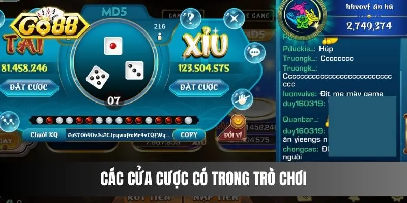 Các cửa cược có trong trò chơi